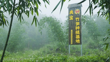 臭宝螺蛳粉深耕供应链，严控品质赢得消费者青睐
