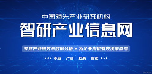 2022 2028年中国油管产业竞争现状及投资策略研究报告