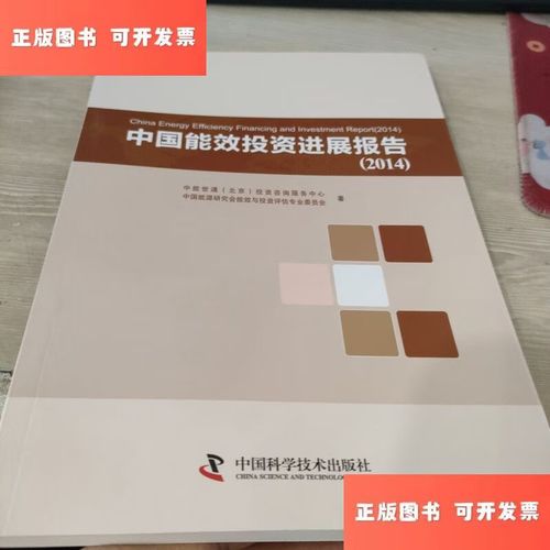 中国能效投资进展报告